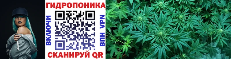 Бошки Шишки сатива  Комсомольск 